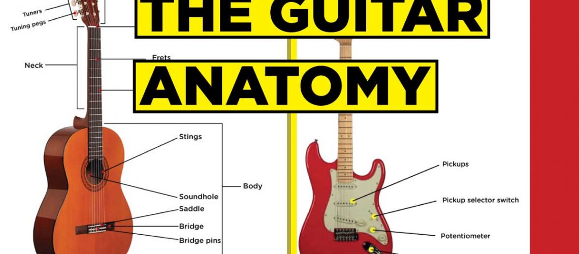 anatomi-gitar-thumnail